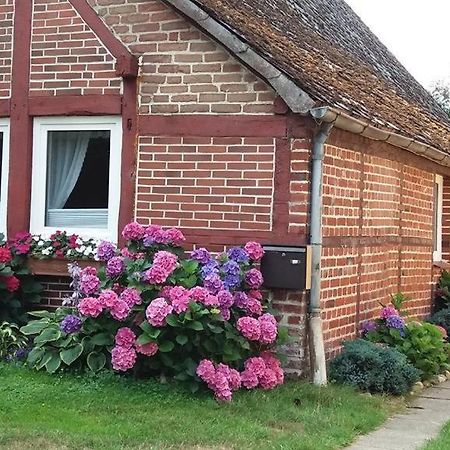 Von Wiegen, Ferienwohnungen 슈네베르딘겐 외부 사진