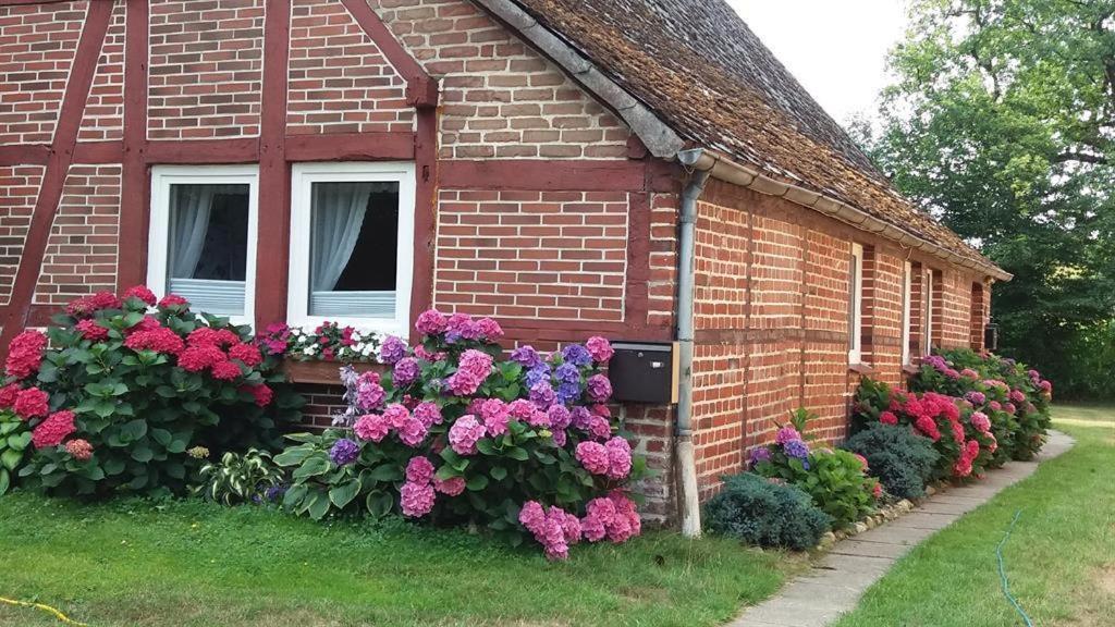 Von Wiegen, Ferienwohnungen 슈네베르딘겐 외부 사진